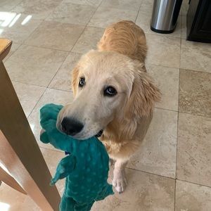 Meet your Posher, Marie